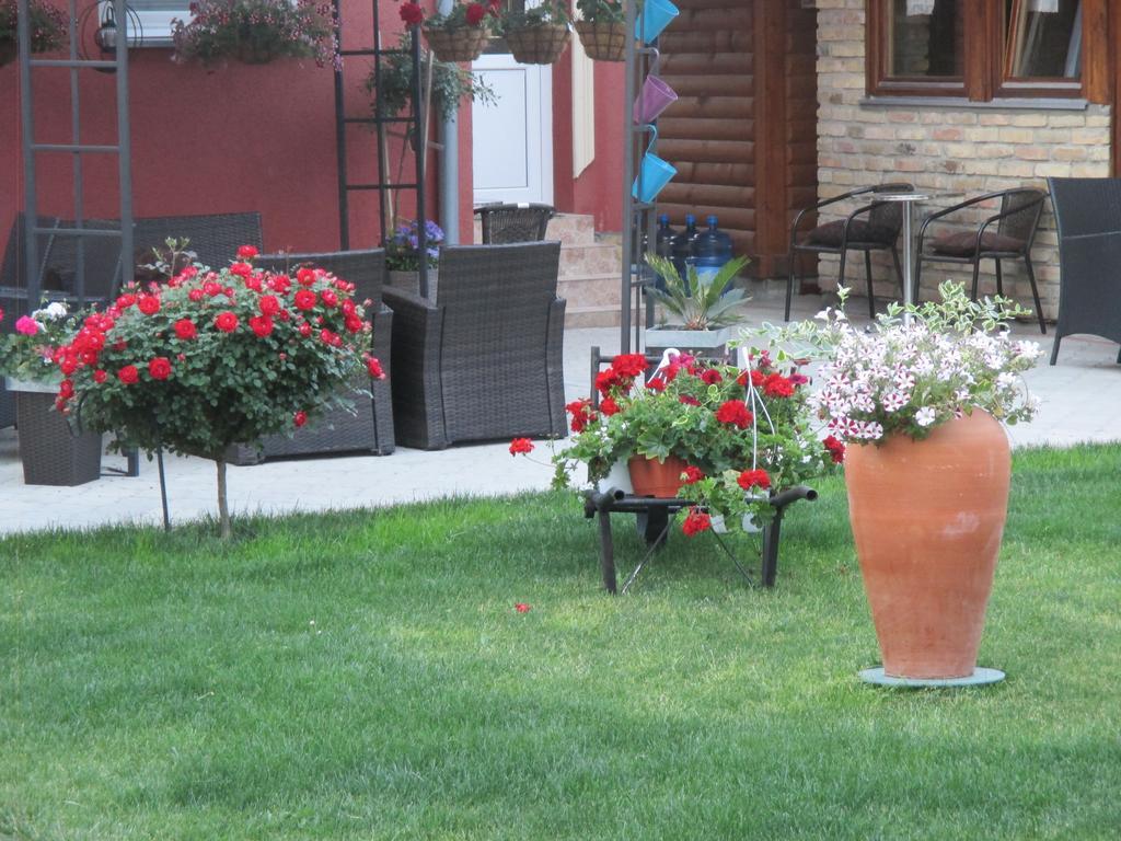 Bed & Breakfast Boska Palic