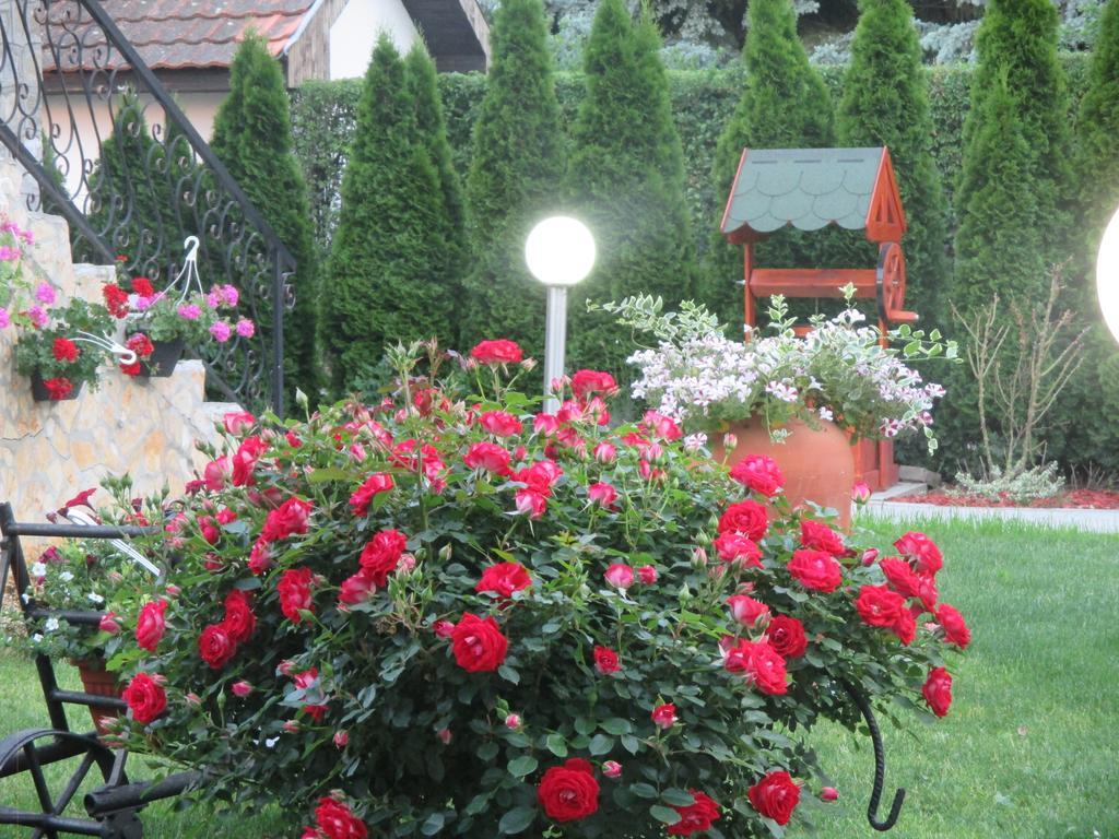 Boska Palić